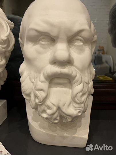 Гипсовая голова Сократа