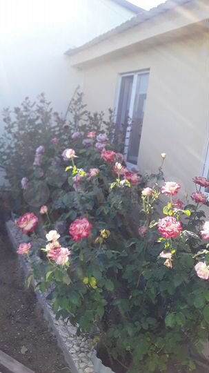 Дом 75 м² на участке 2,5 сот.