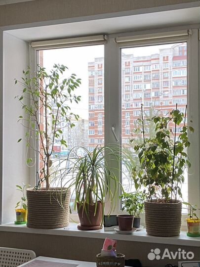 Горшок-кашпо для цветов