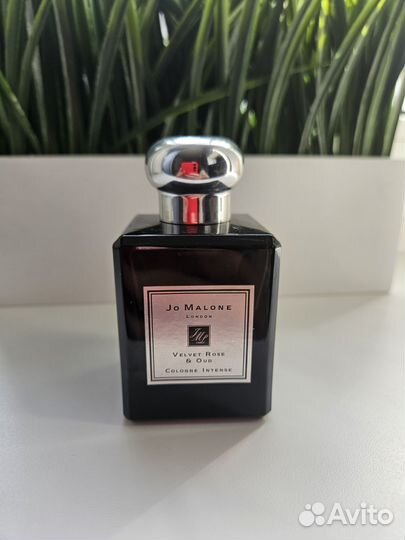 Духи женские Jo malone Velvet Rose and oud