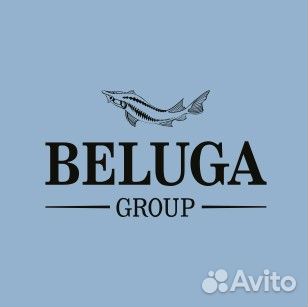 Крупный холдинг ищет мобильного Мерчендайзера