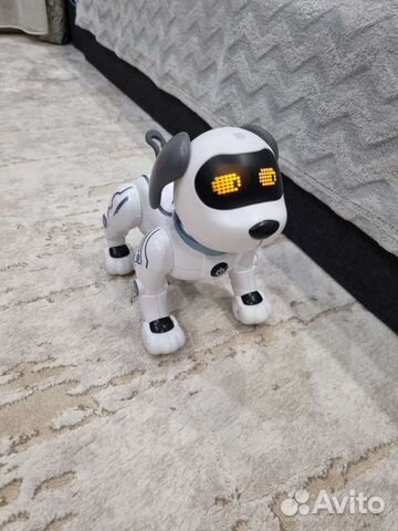 Робот собака на дистанционном управлении