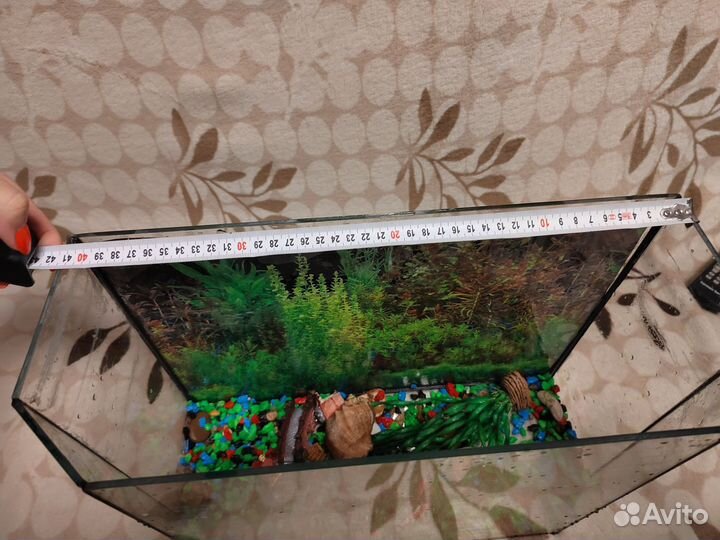 Аквариум