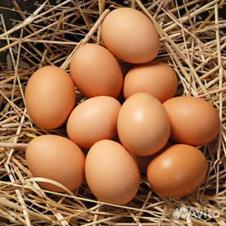 Яйцо куриное домашнее