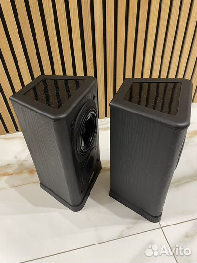 Полочная ас Tannoy 631