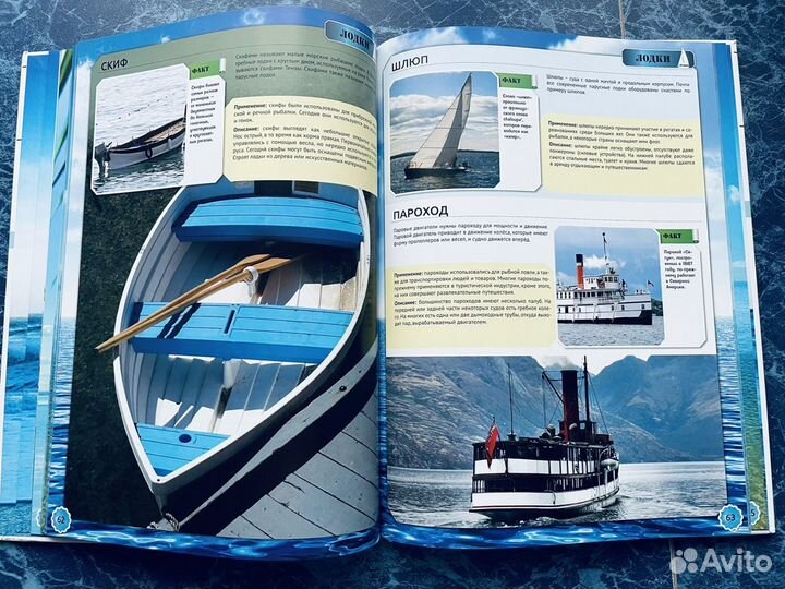 Энциклопедия