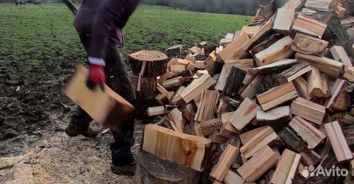 Дрова ольха осина