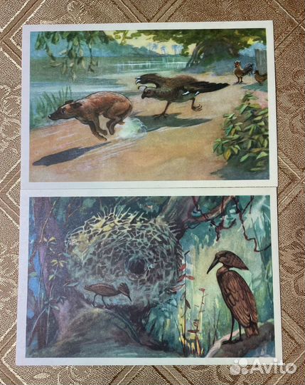 Набор открыток Птицы 1968 год. СССР