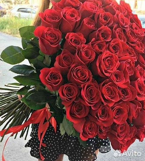 Высокие розы Гигантские розы Доставка цветов