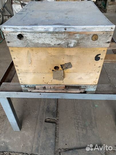 Улий для пчел рут