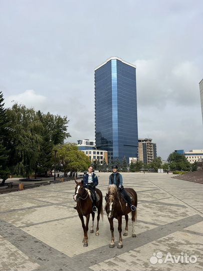 Экскурсии по ипподрому