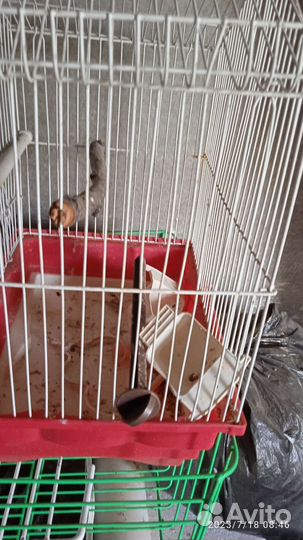 Клетка для попугая