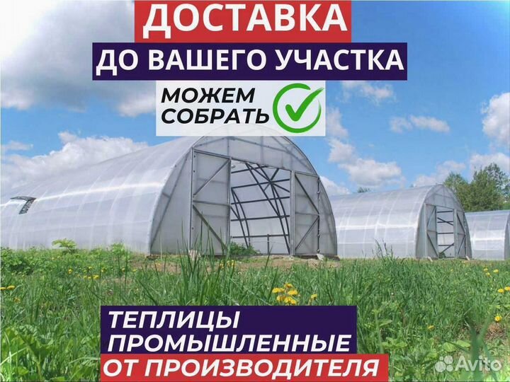 Теплица промышленная с доставкой