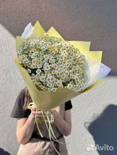 Букет цветов ромашки