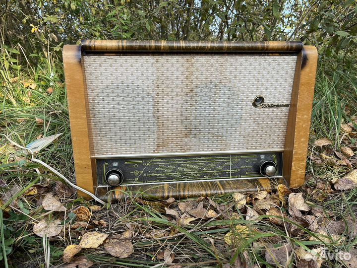 Радиоприемник вэф-аккорд