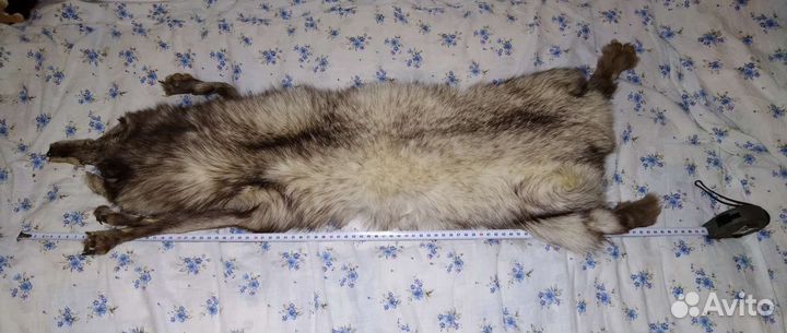 Шкурка животного, воротники