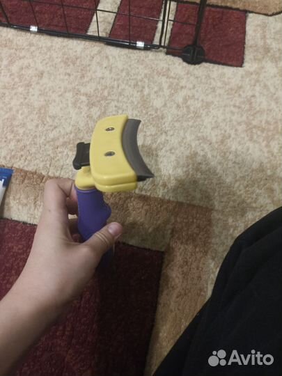 Вещи для собак