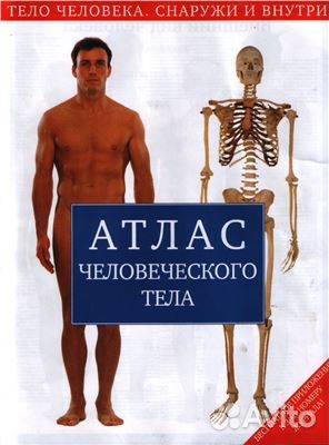 Тело человека снаружи и внутри
