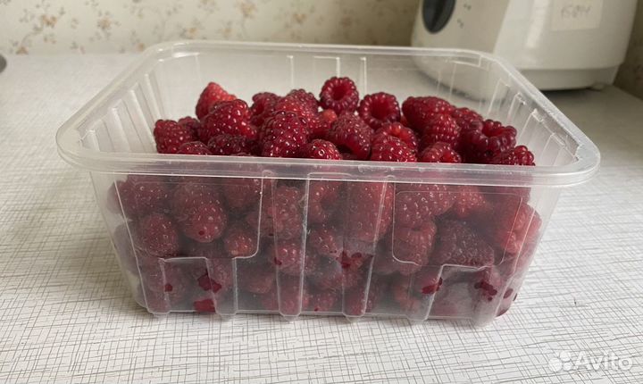 Малина ремонтантная