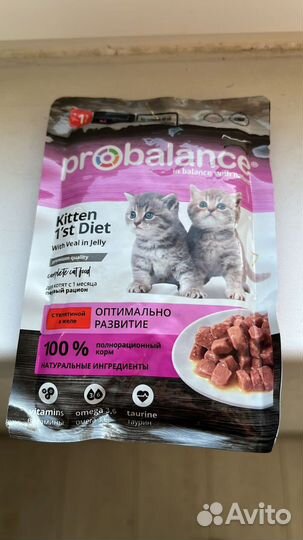 Корм для котят