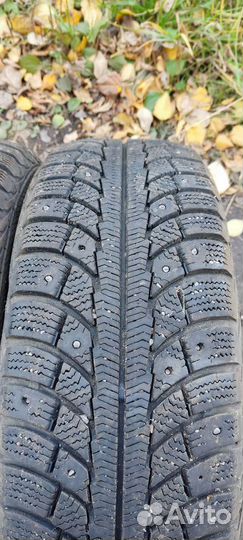 Gislaved Nord Frost 5 195/65 R15