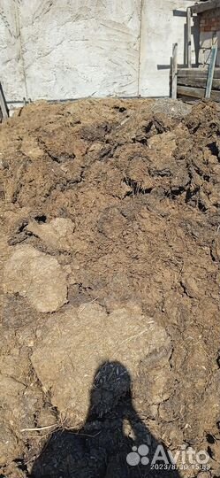 Отдам бесплатно навоз