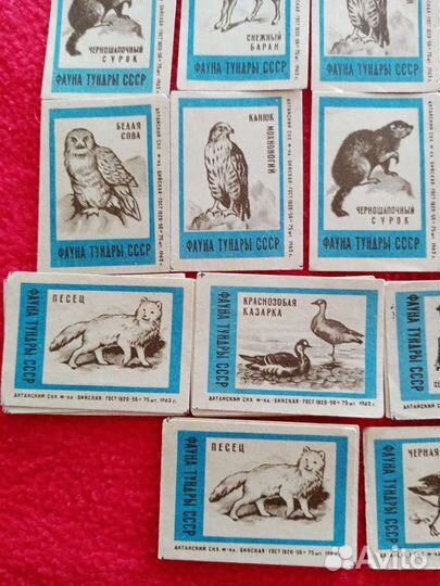 Спичечные этикетки. Фауна тундры