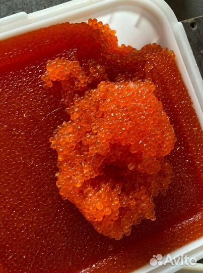 Готовый бизнес. Красная икра