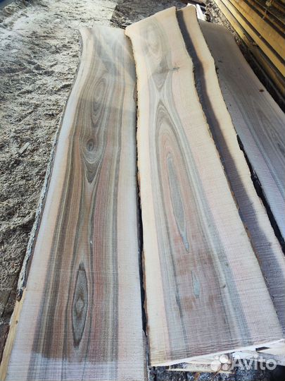 Слэб из карагача