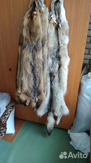Мех лис кайот куниц