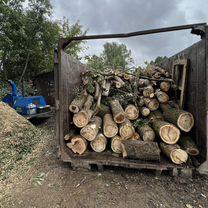 Расчистка участка. Удаление деревьев, Красноармейск