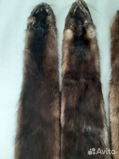 Шкурки норки