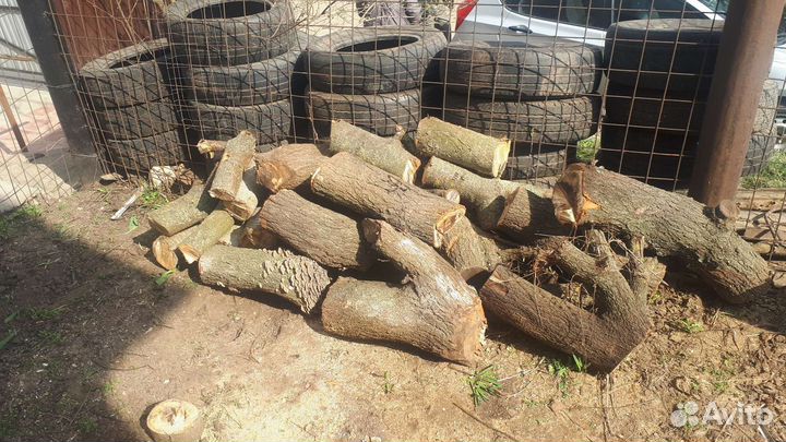 Дрова плодовые деревья