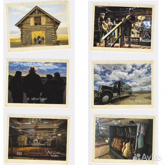 Neil Young, Crazy Horse / Barn (Limited Edition)(L