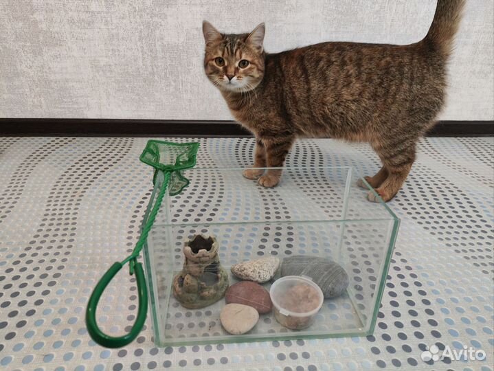 Аквариум для рыбок