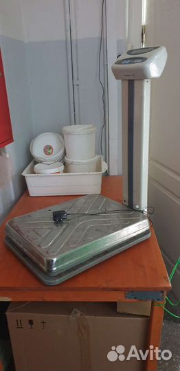 Напольные весы CAS модель DL60