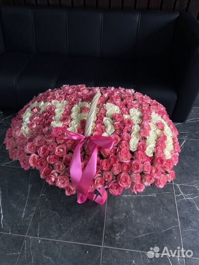 Свежие голландские розы