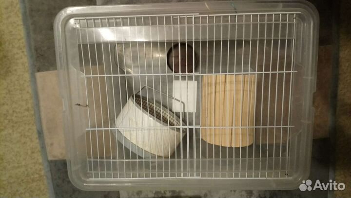 Клетка для хомяков