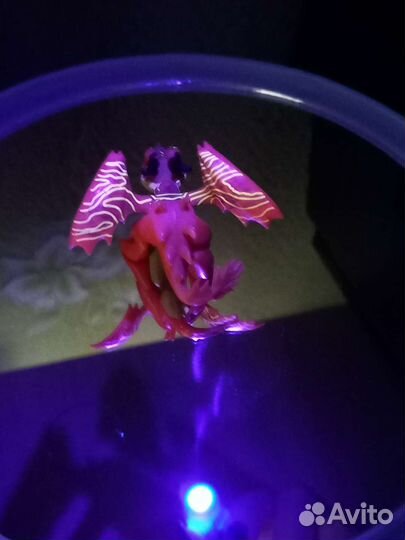 Как приручить дракона