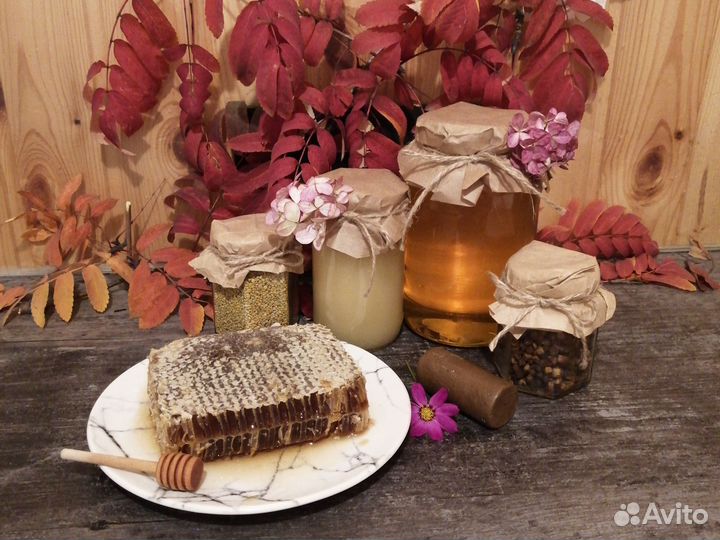 Алтайский Мед 2023, пыльца, прополис, перга Кгл