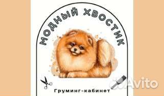 Груминг, Экспресс-линька для Ваших Хвостиков