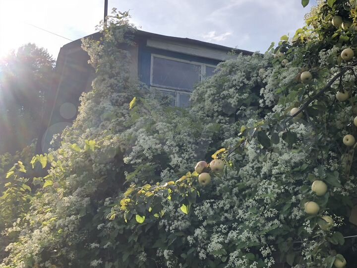 Дача 32 м² на участке 4 сот.