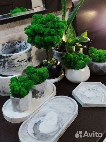 Кашпо со мхом стабилизированным