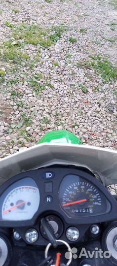 Stels Enduro 250