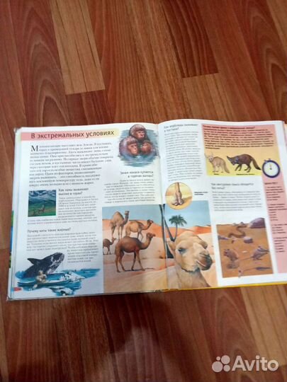 Энциклопедия Большая книга знаний