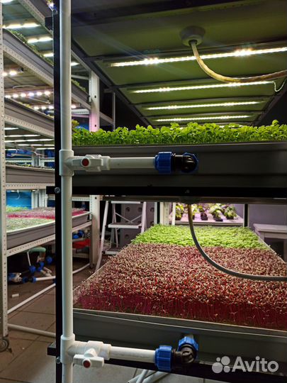 Аэропоника гидропоника для вертикальных ферм