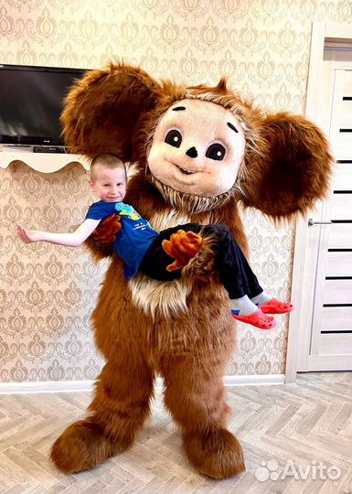 Экспресс поздравление от Ушастика