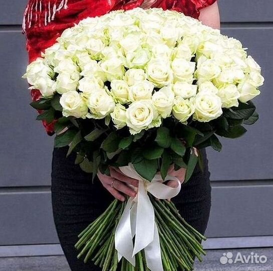 Розы Букеты Цветы Розы 31 101 151 201 Доставка