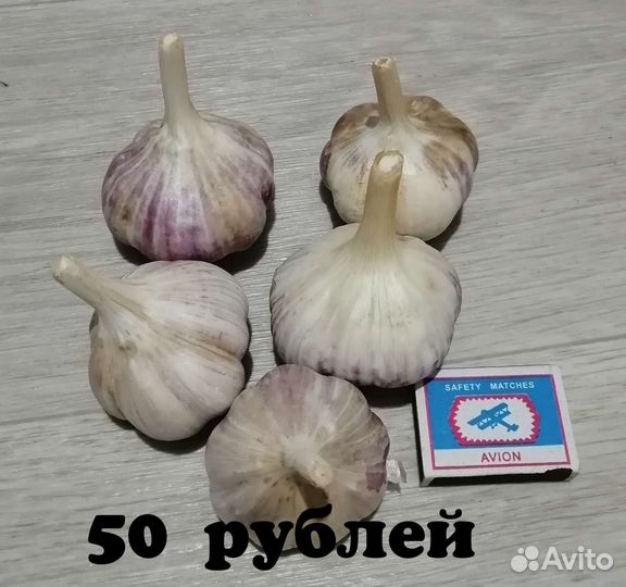Чеснок
