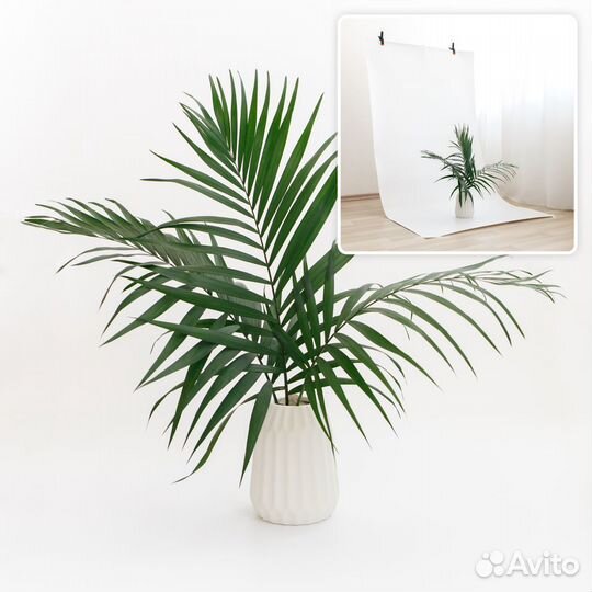 Пластиковые фотофоны 100 х 200см для фотосессий